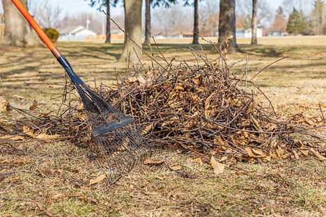 Yard Waste